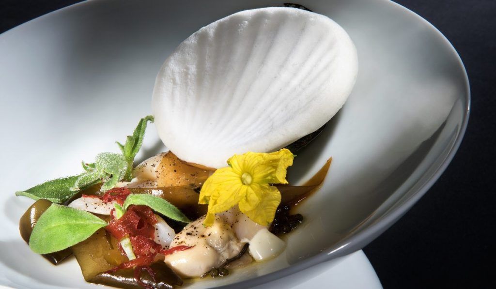 Plato Ultraviolet
